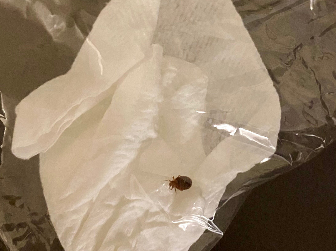 Hampton Inn & Suites Baltimore/Aberdeen主图