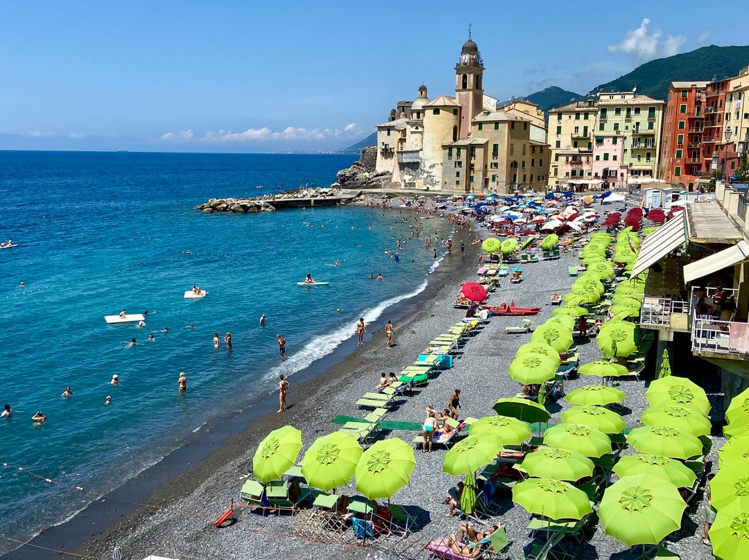 Italian Private Tours in English-滨海罗西尼亚诺必去景点