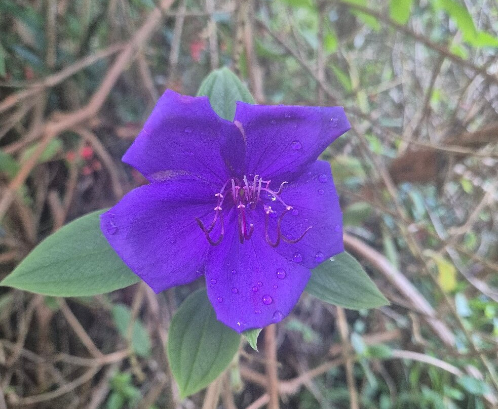 Cascade Biberon-帕尔米斯特平原必去景点