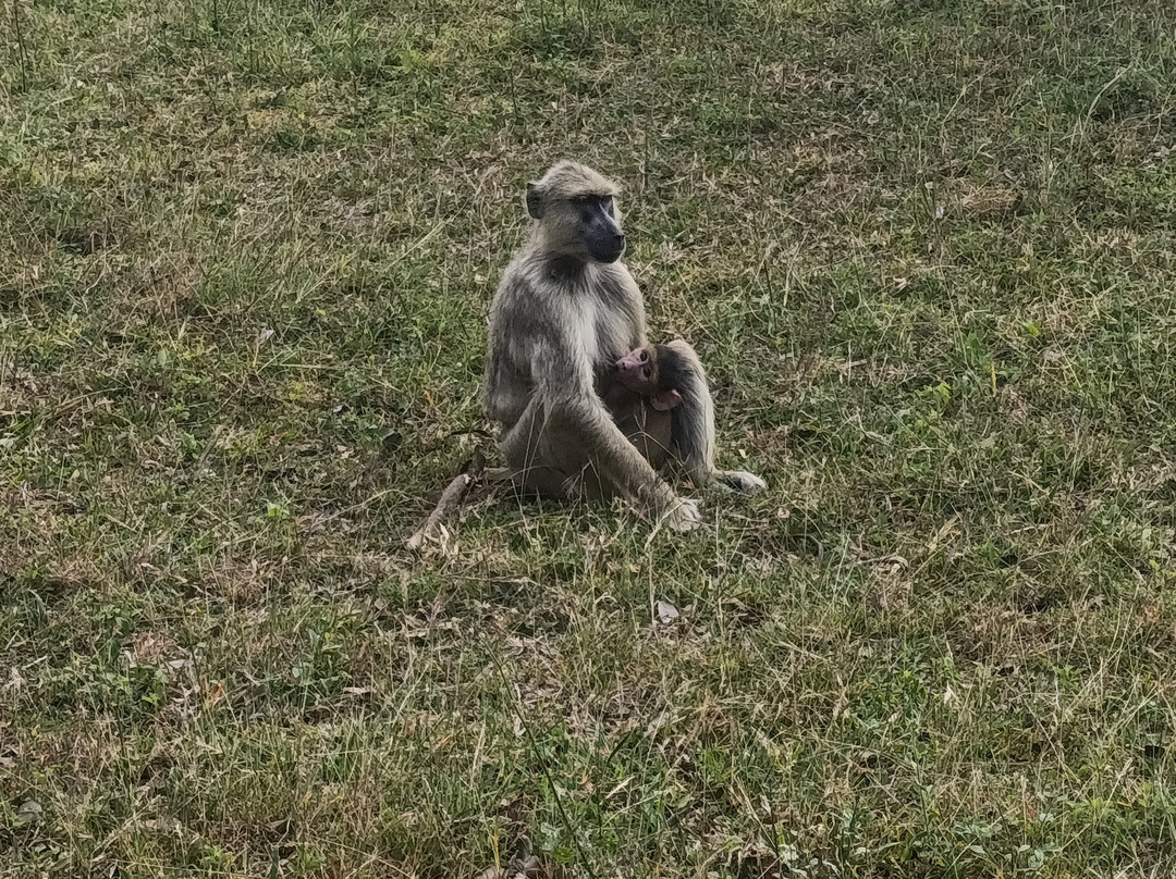 Zanzibar Pastèque Tour-桑给巴尔市必去景点