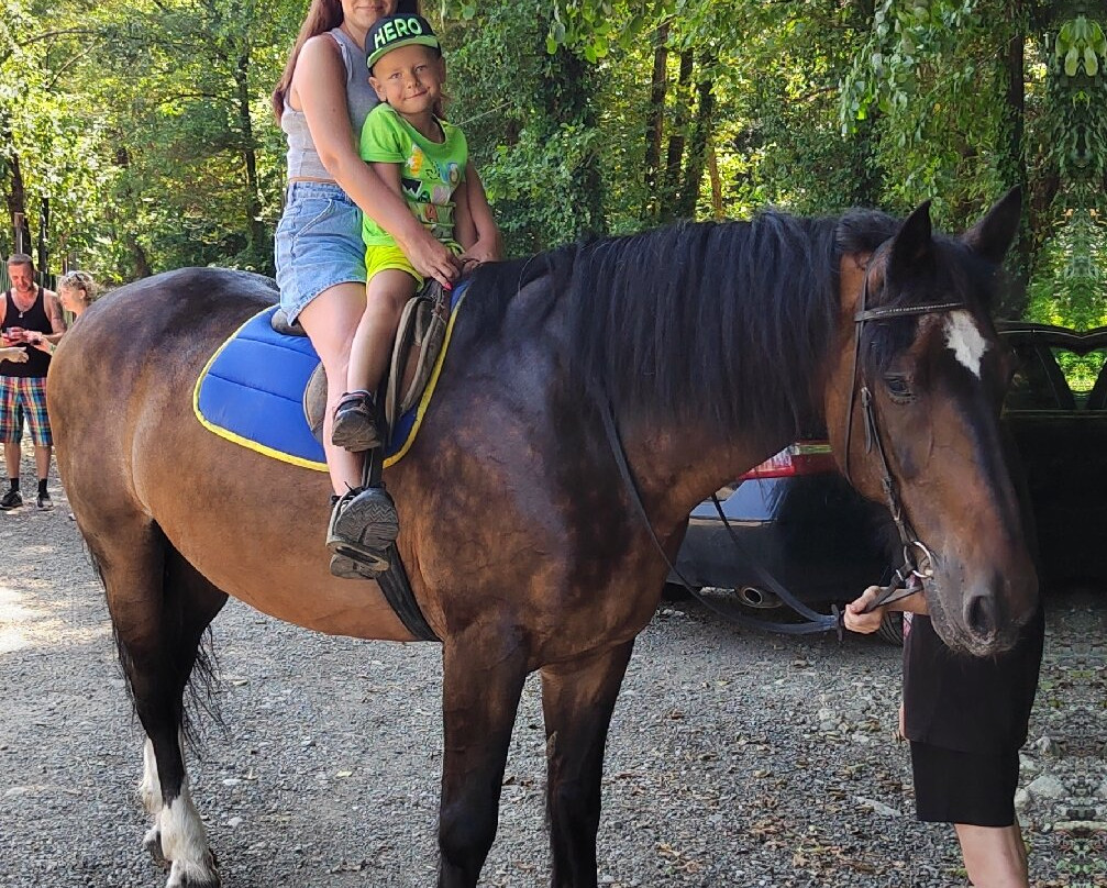 Kontur-Soloniki必去景点