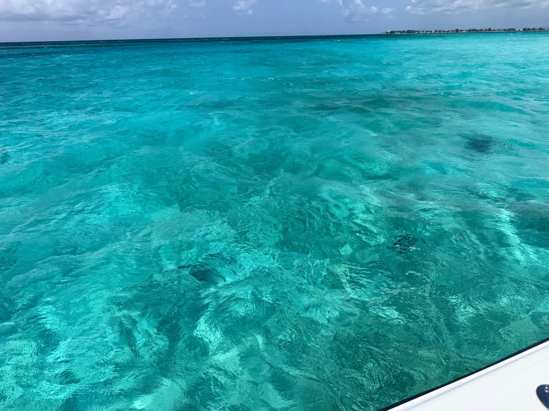 Reel Vibes Charters-西湾必去景点