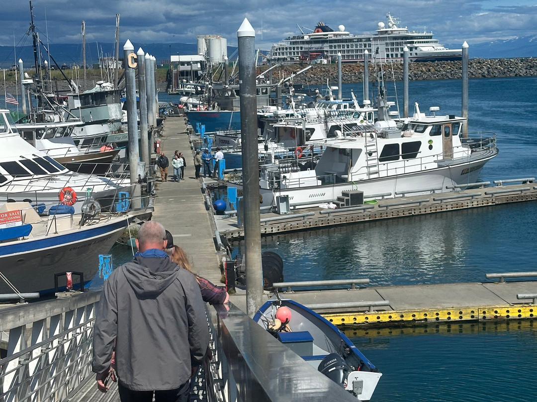 Inlet Charters Across Alaska Adventures-荷马必去景点