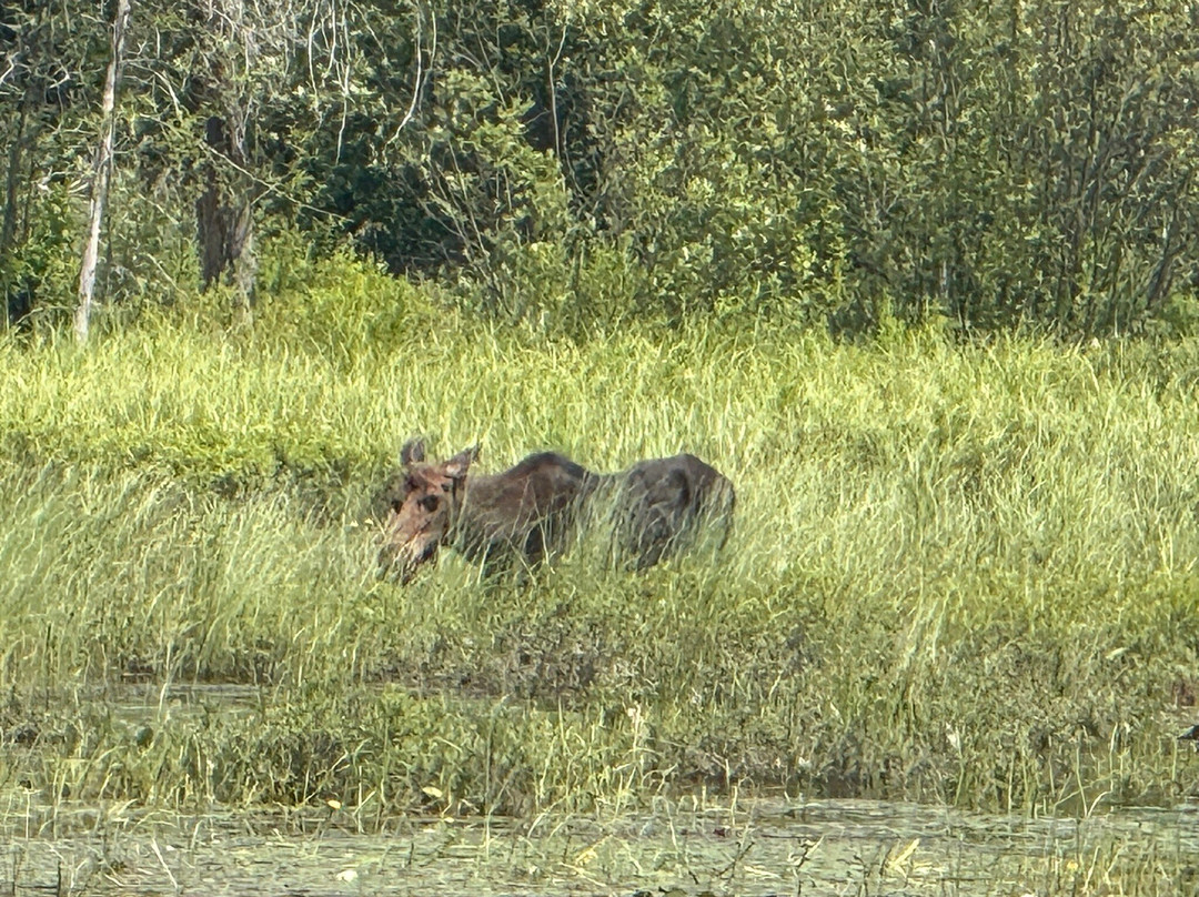 Algonquin Visitor Centre-阿冈昆公园必去景点
