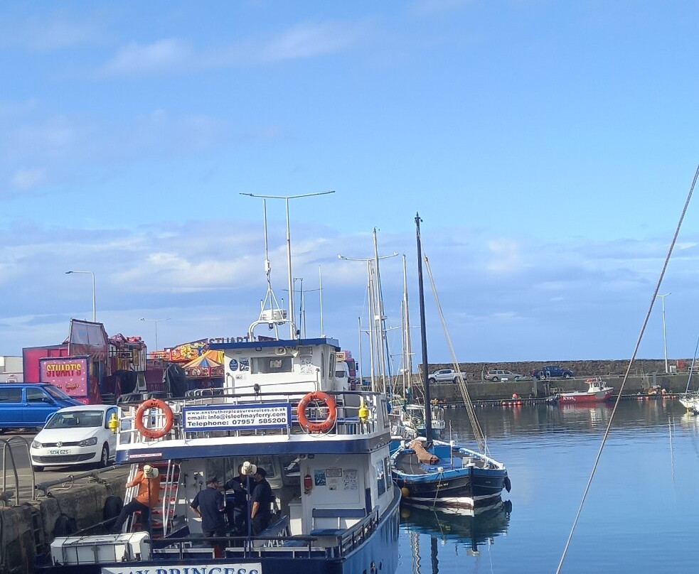 Anstruther Pleasure Cruises-Boat Day Tours-Anstruther必去景点