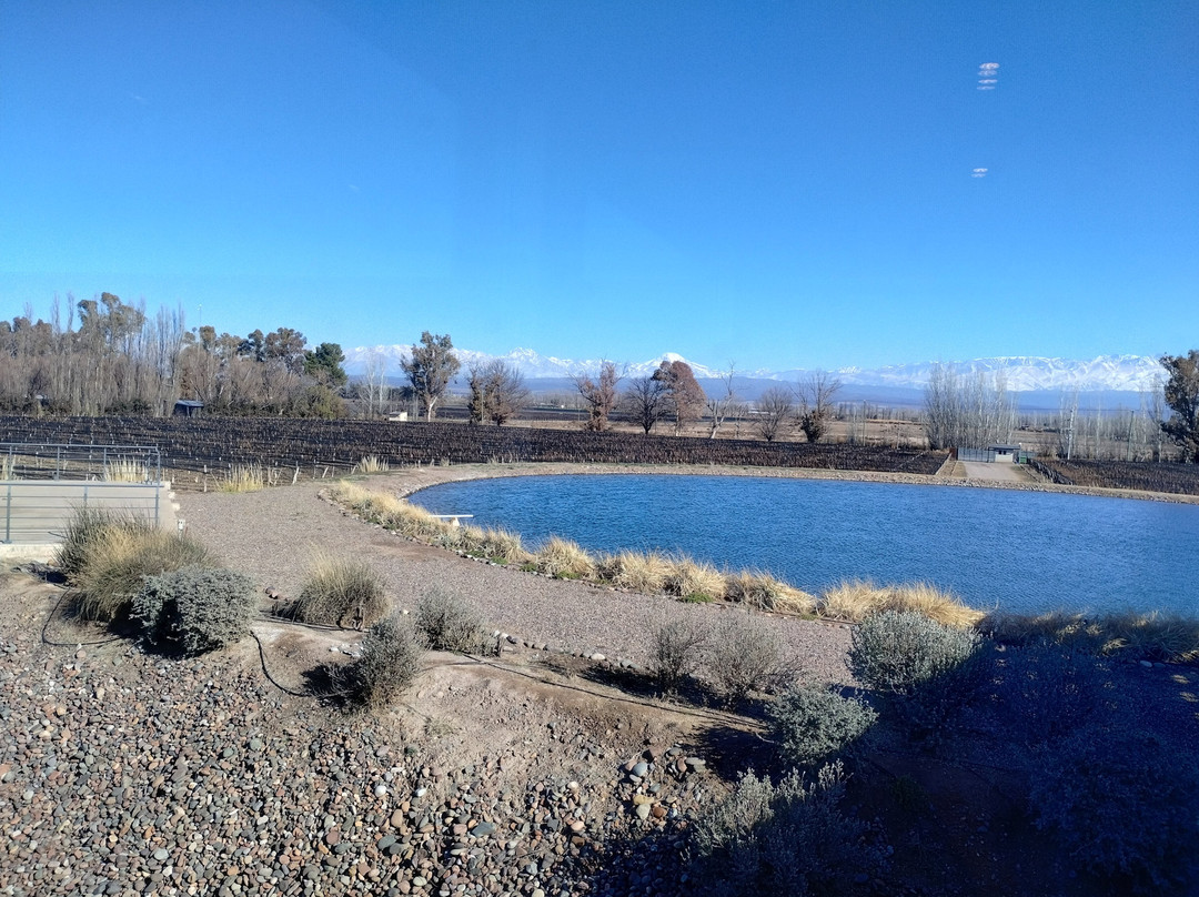 Bodega Budeguer-阿格雷洛必去景点