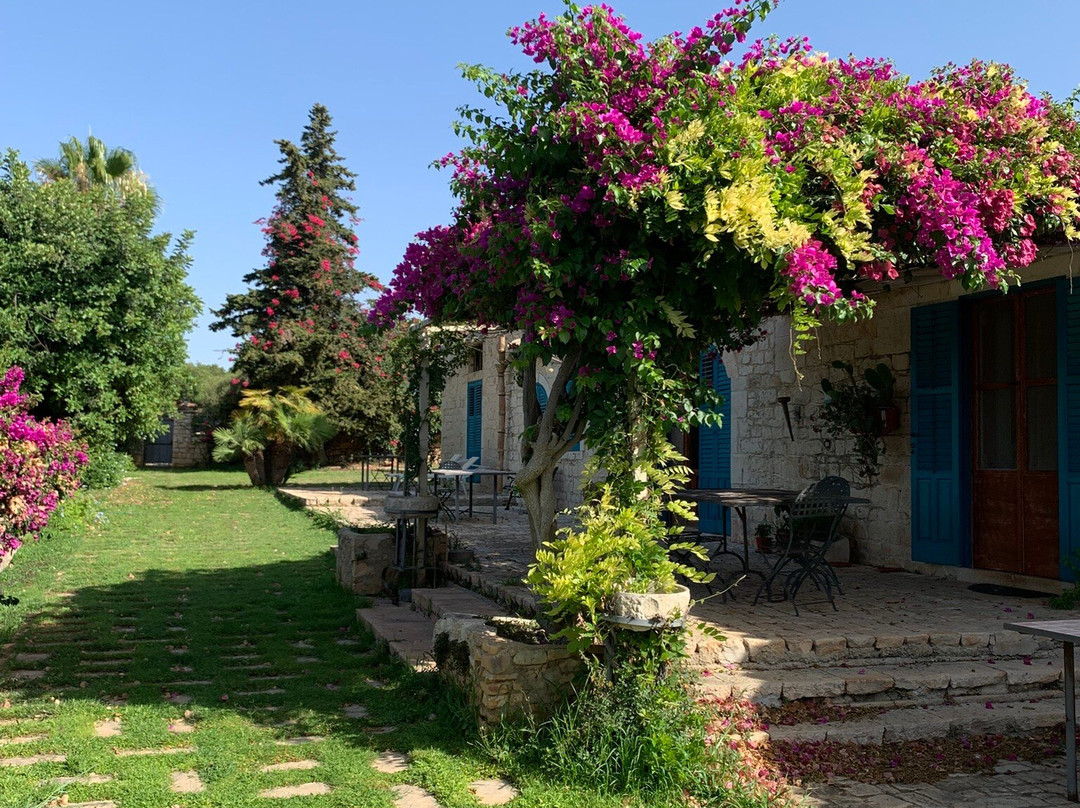 Agriturismo Case Brizza主图