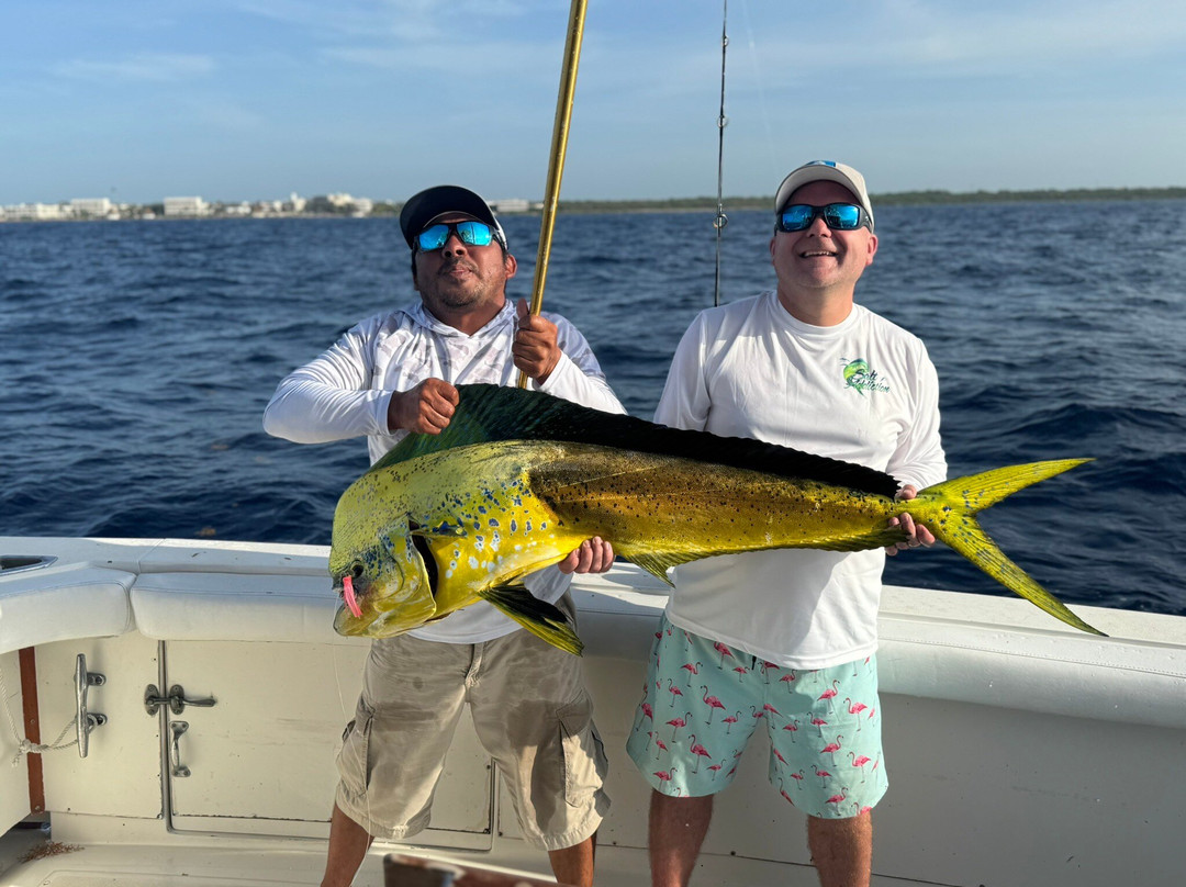Wasabi Loco Sportfishing Adventures-阿范特拉斯港必去景点
