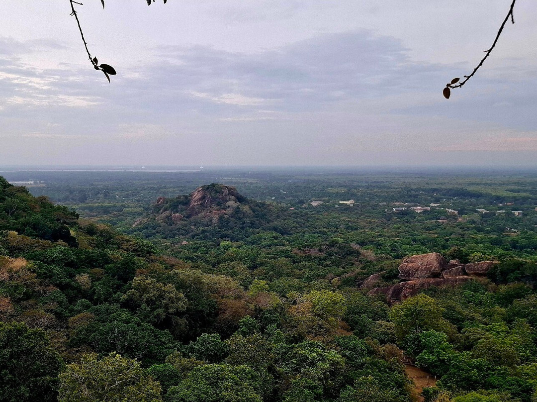 Gayan Chithrasena Guided Tours-Saliyapura必去景点