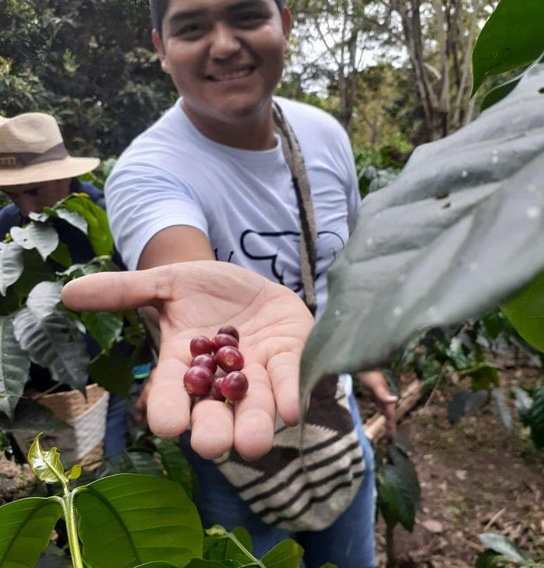 Vivere Travel-Fusagasuga必去景点