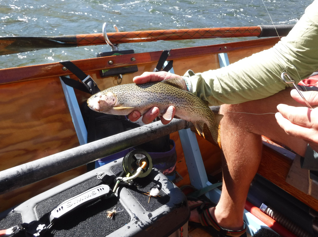 Helfrich River Outfitters-Salmon必去景点