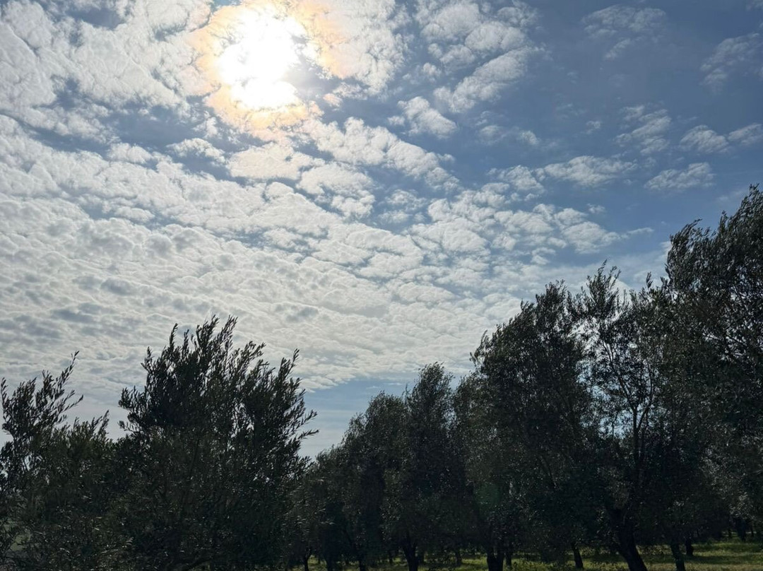 Azeites Ouro de Sant'Ana-Santana do Livramento必去景点