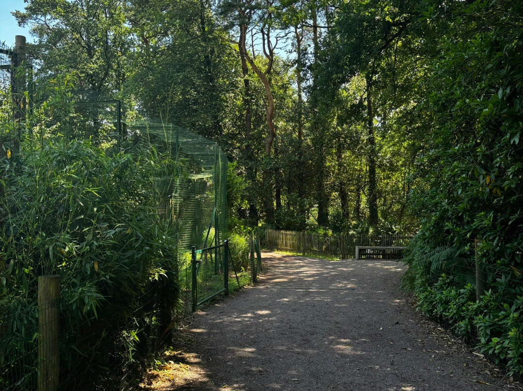 Zoo de Jurques-Jurques必去景点