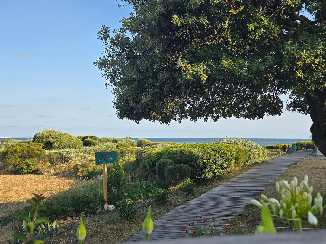 Hôtel Île De Lumière主图