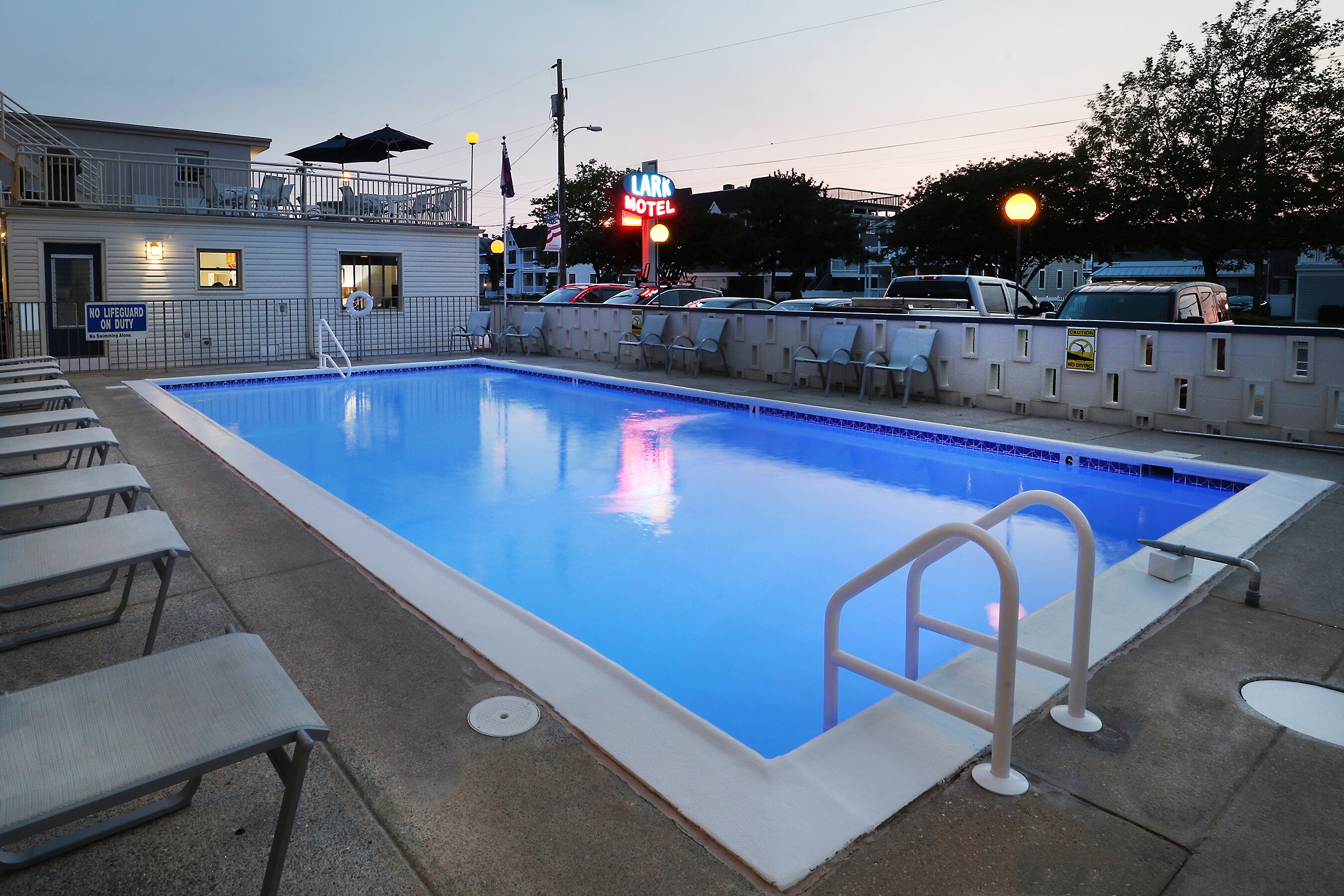 Lark Motel-泳池