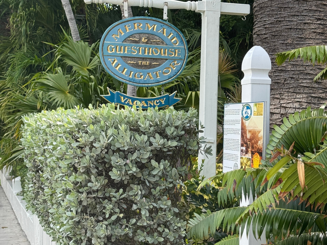 The Mermaid & The Alligator主图