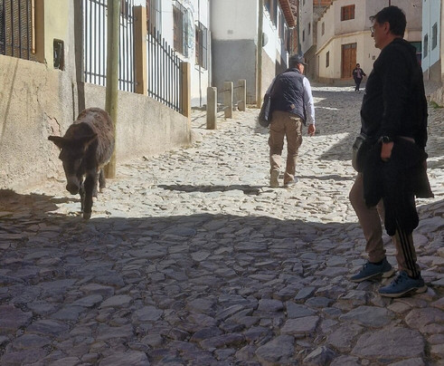 Hostal Milmahuasi主图