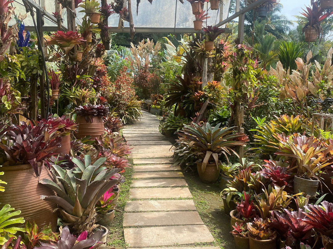 Art and Garden-槟城岛必去景点