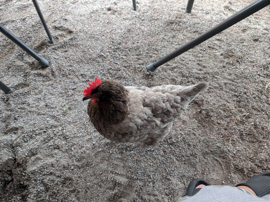 Crooked River Distillery | Distillerie-Memramcook必去景点