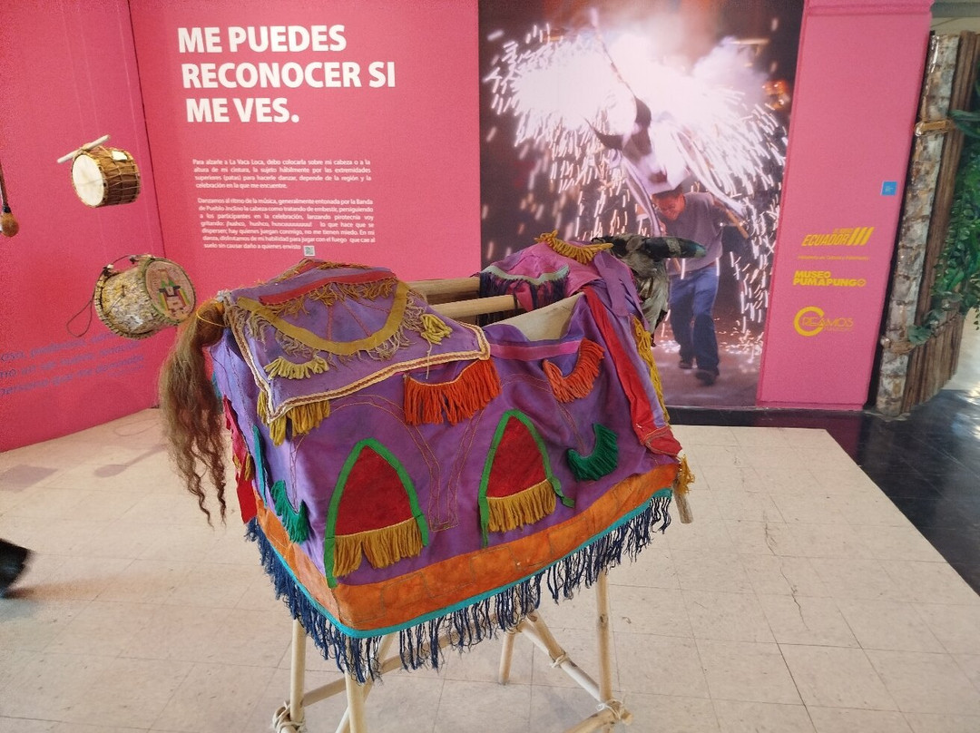 Museo Pumapungo-昆卡必去景点