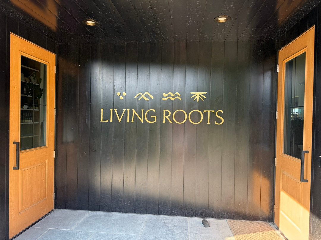 Living Roots Finger Lakes-Hammondsport必去景点