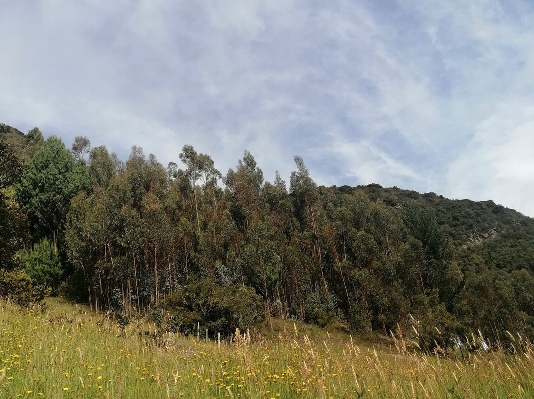 Mongui Travels-Mongui必去景点