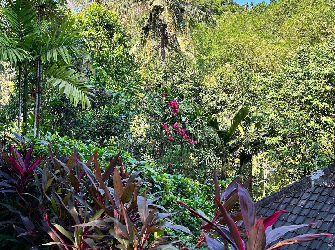 彭杜克旅游格亚纱丽酒店主图