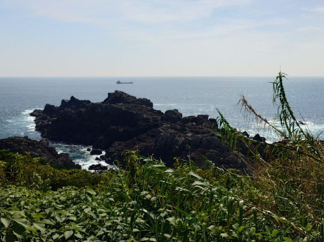Cape Shionomisaki-串本町必去景点