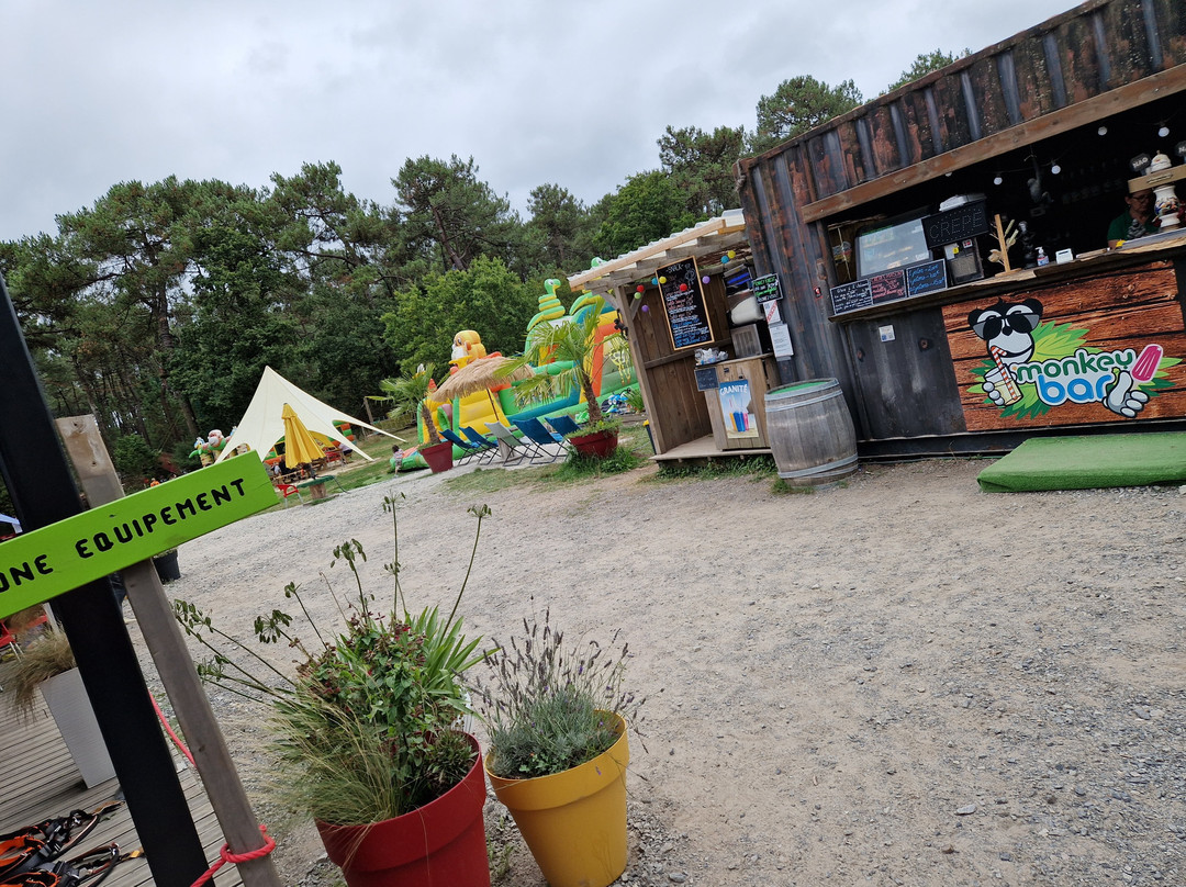 Monkey Forest-Saint-Molf必去景点