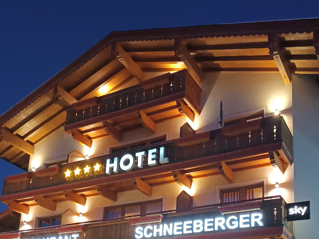 Hotel Schneeberger主图