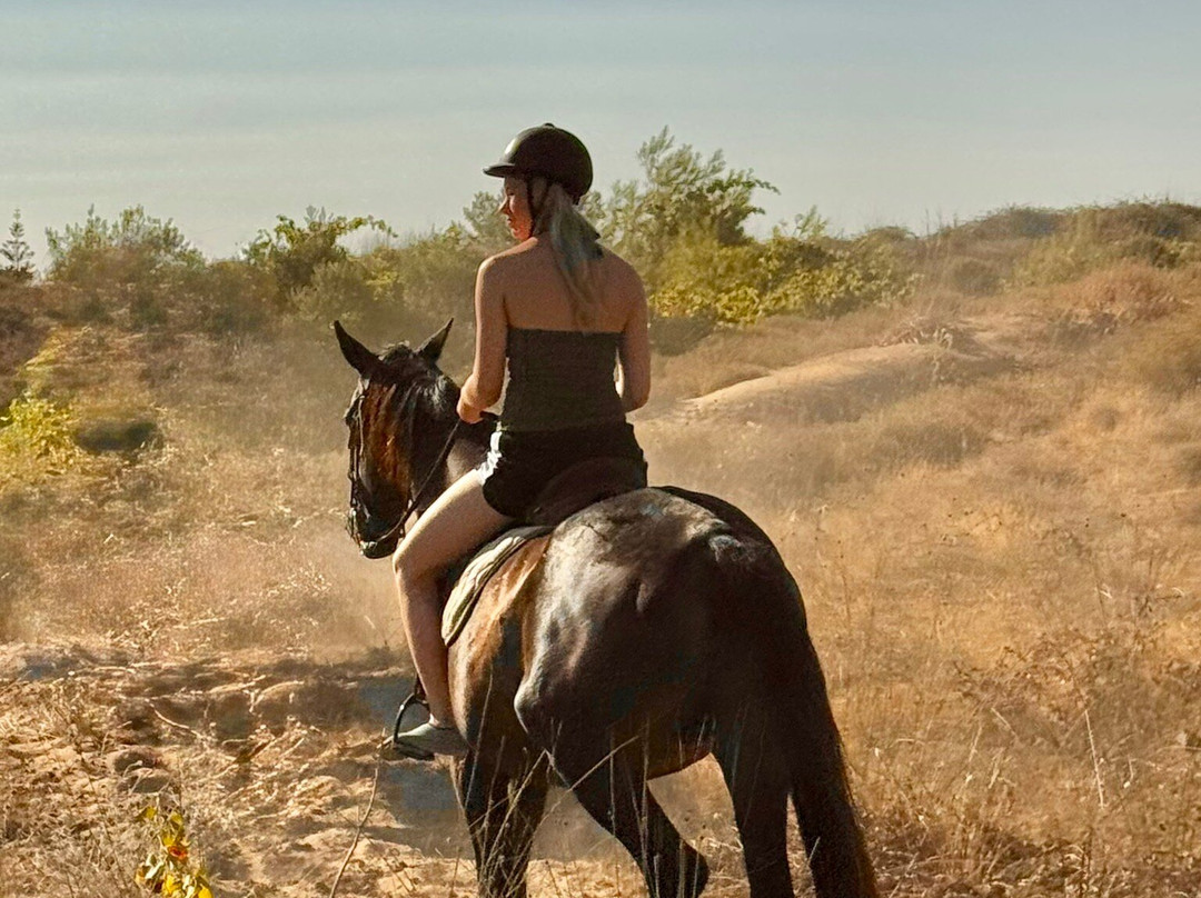 Happy Horses-扎金索斯必去景点