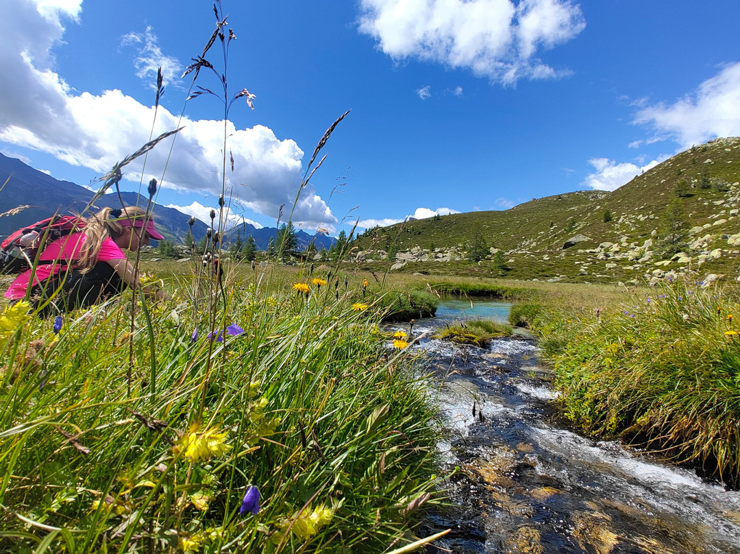 Hotel Drumlerhof主图