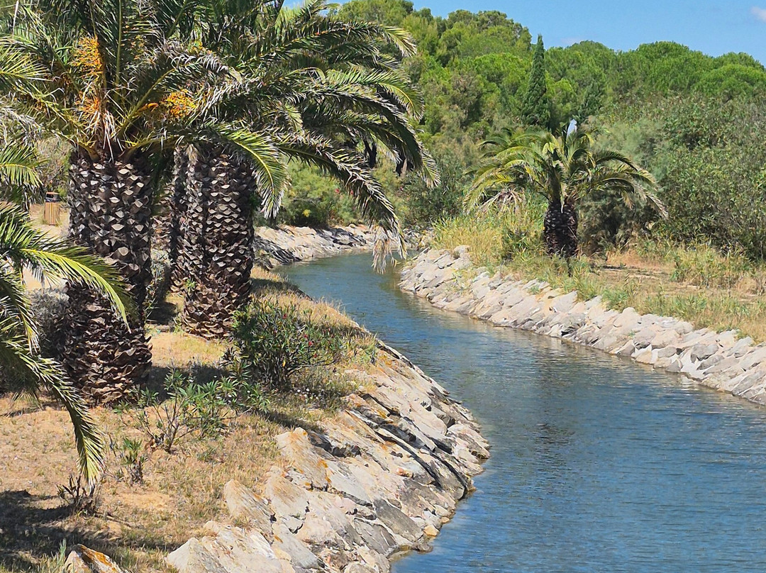 Parc du Levant-帕拉瓦莱弗洛必去景点