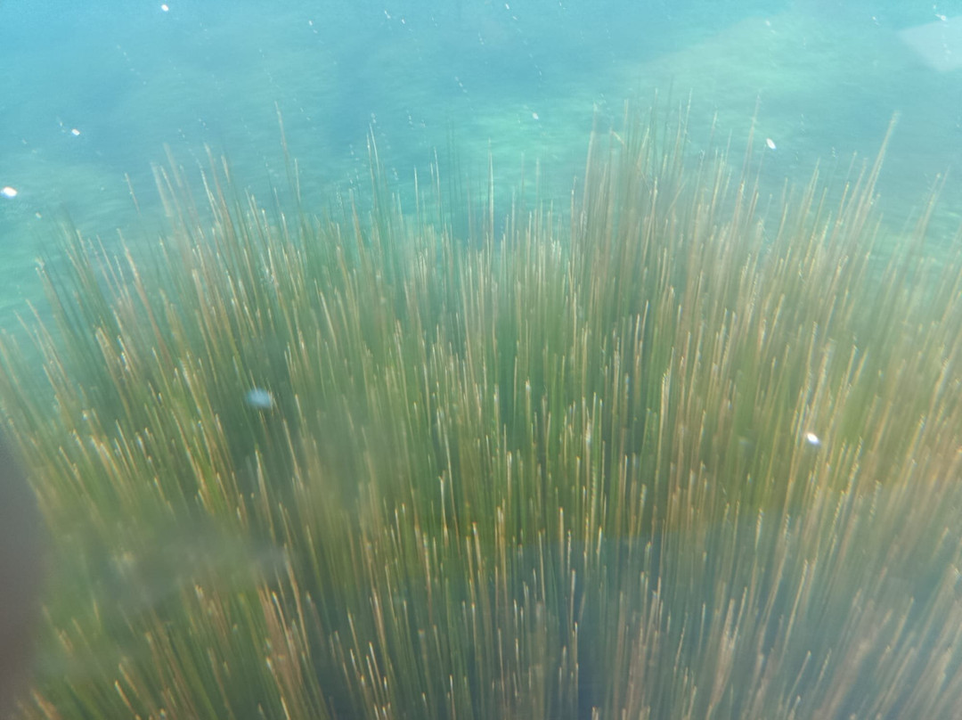 Lago di Capo d'Acqua-Capestrano必去景点