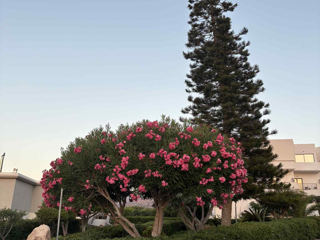 Matheo Hotel Villas & Suites主图