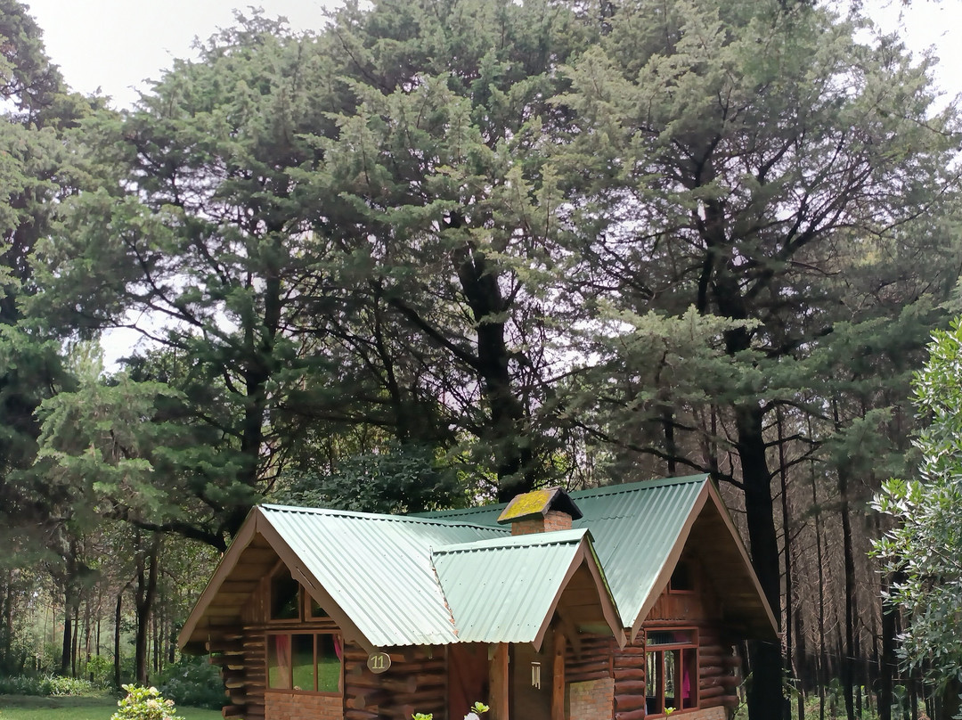 Cabañas Las Ardillas主图