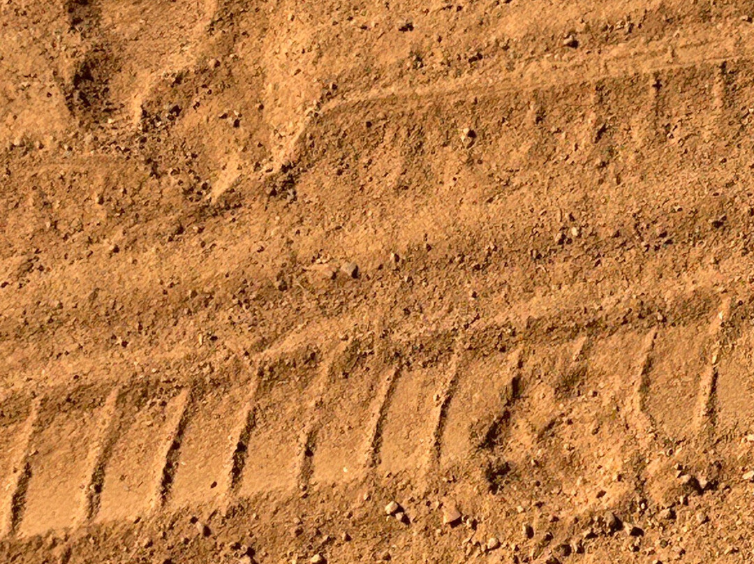 Dinokeng Game Reserve-哈曼斯克拉尔必去景点