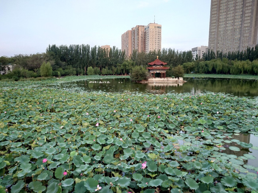 青城公园-呼和浩特市必去景点