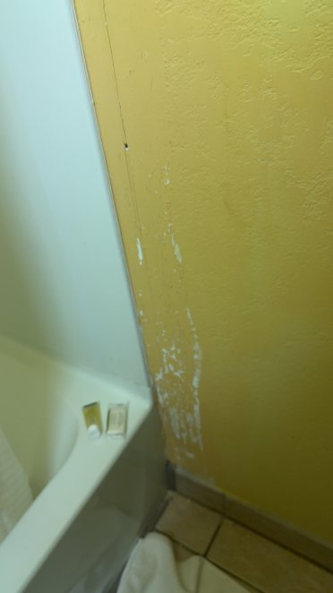 阿普尔顿速8酒店-浴室