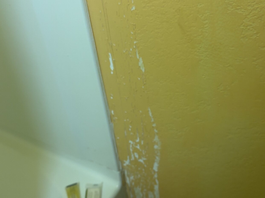 阿普尔顿速8酒店主图