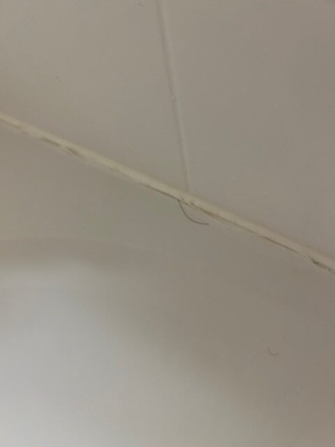 里士满速8酒店-官方