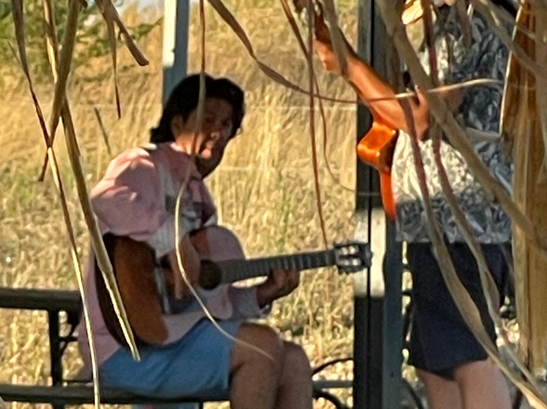 Manade Vitou de Fontmarie-Castries必去景点