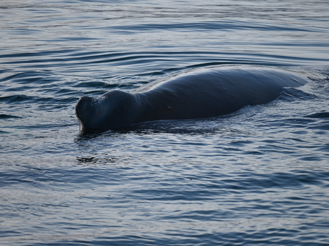 Borea Adventures-伊萨菲厄泽必去景点