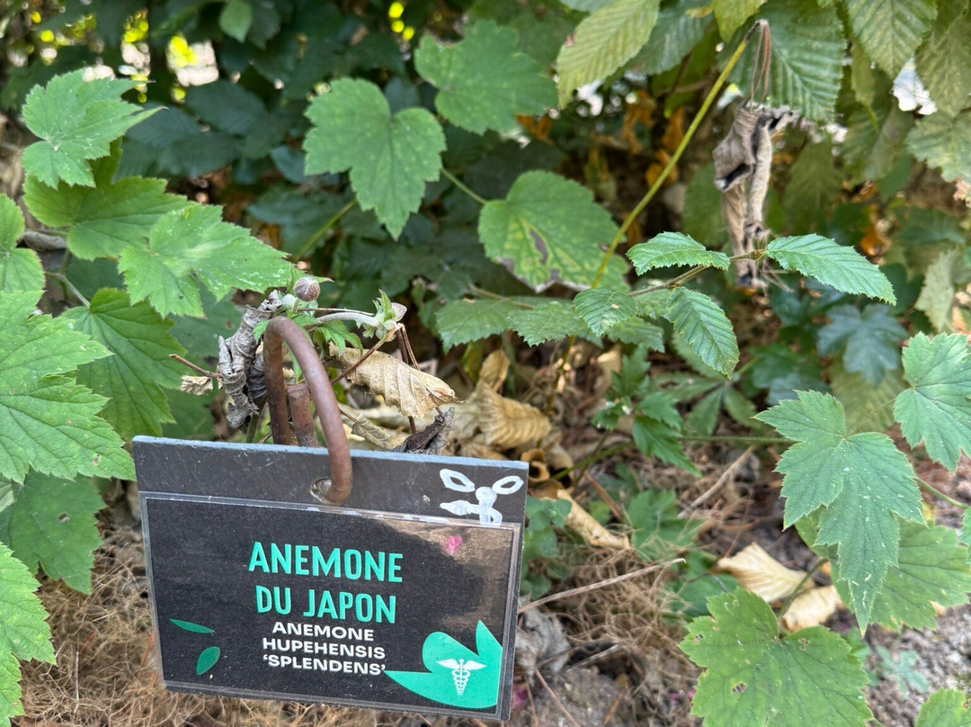 Les Jardins de Colette-Varetz必去景点