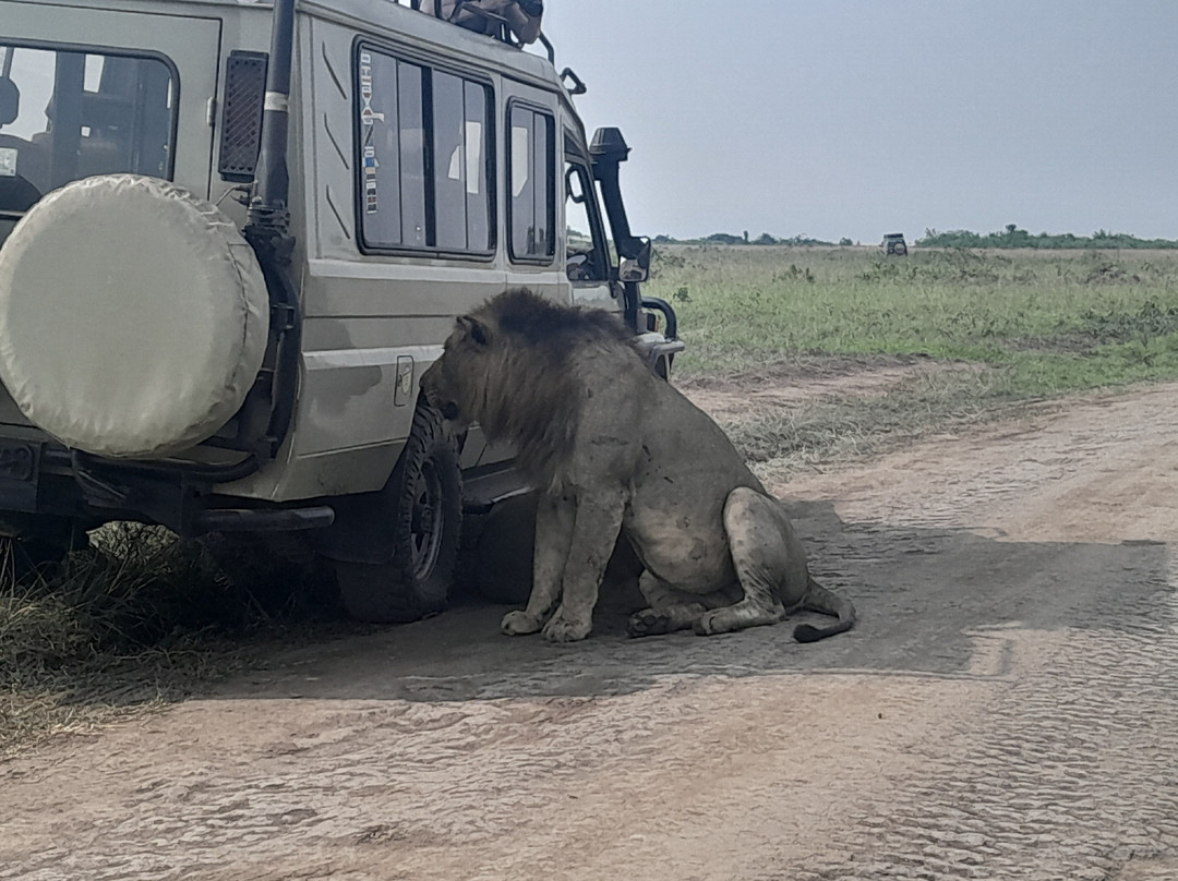 Gatatu Safaris-卡巴莱必去景点