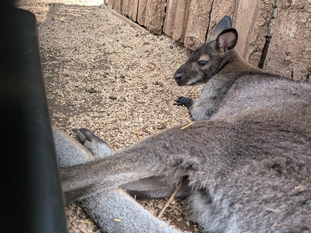 Ranch Aryen-Sutorina必去景点
