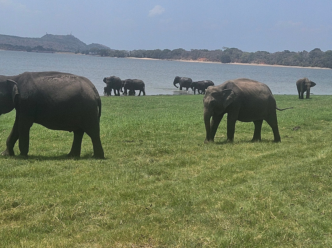 Holiday Travel Lanka-Wattala必去景点