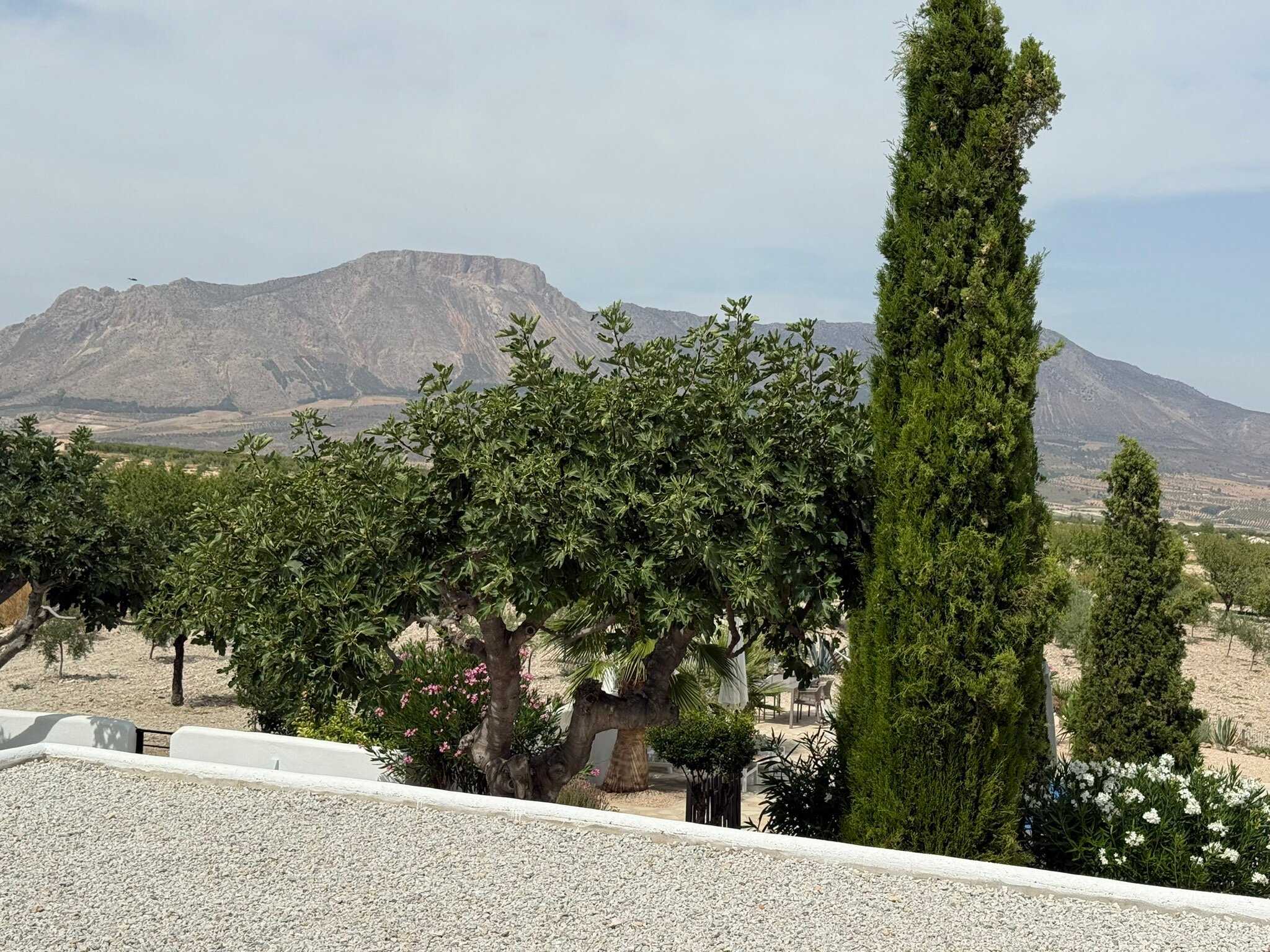 Boutique Bed & Breakfast Casa Paco-官方