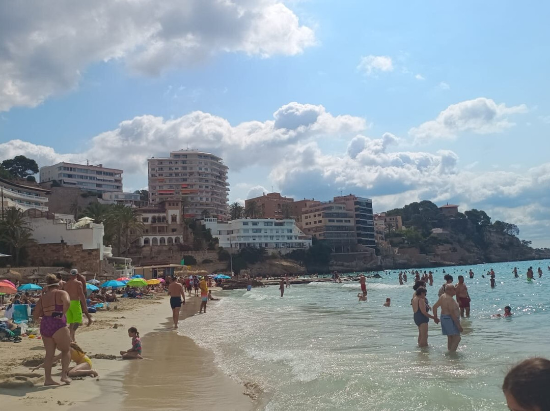 帕尔马海岸鲁拜酒店主图