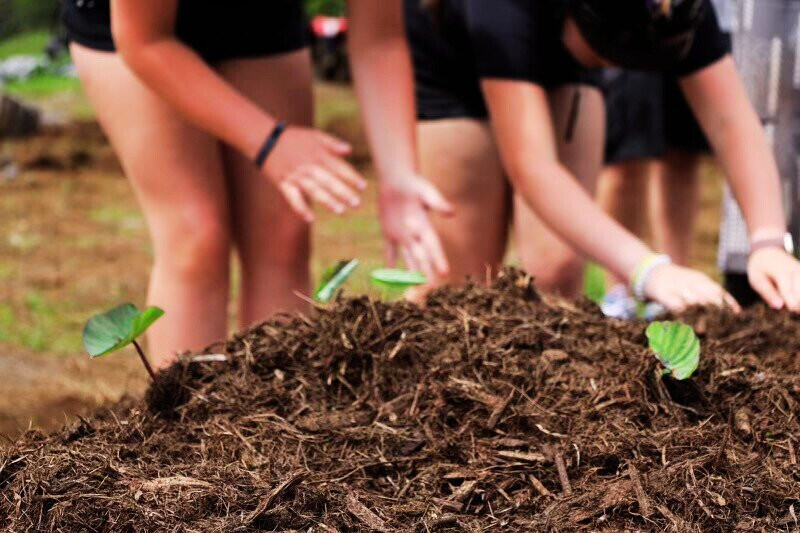 Ohana Ranch-山景城必去景点